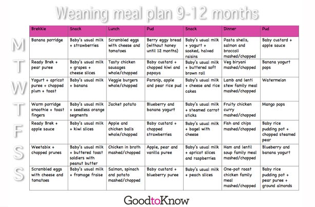 sample meal plan for 12 month old baby
 Baby food meal planner: 9 - 12 months - goodtoknow - sample meal plan for 12 month old baby