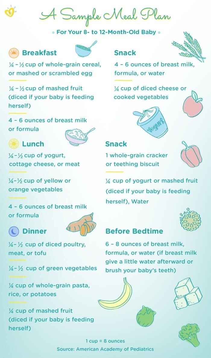 sample eating plan for 12 month old
 Sample menu for 8 to 12 month old | 8 month old baby, Baby ..