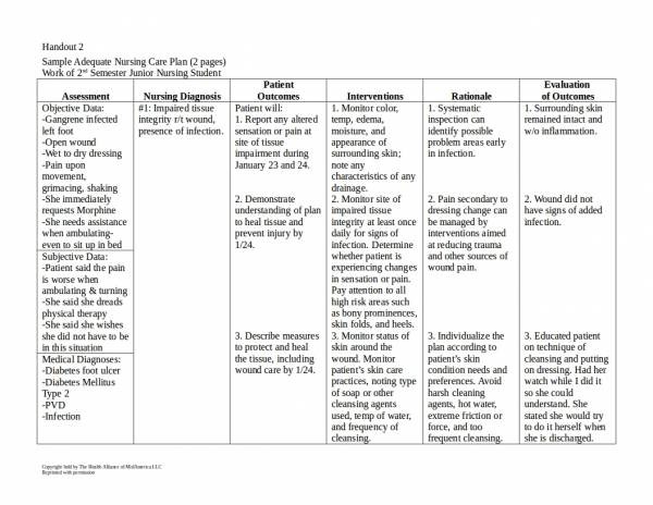 nursing care plan template
 FREE 16+ Patient Care Plan Templates in PDF | MS Word - nursing care plan template