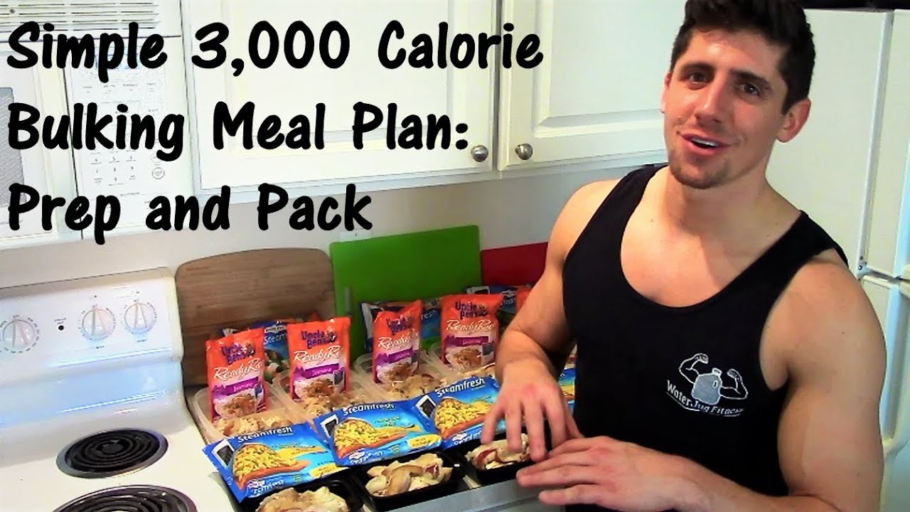 meal plan for 3 000 calories a day
 Simple 3,000 Calorie Bulking Meal Plan: Prep and Pack ..